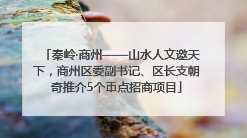 秦岭·商州——山水人文邀天下，商州区委副书记、区长支朝奇推介5个重点招商项目