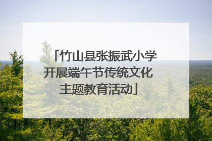 竹山县张振武小学开展端午节传统文化主题教育活动