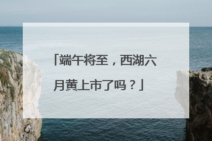 端午将至，西湖六月黄上市了吗？