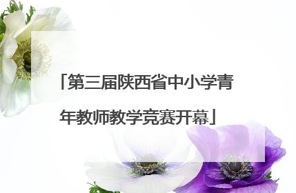 第三届陕西省中小学青年教师教学竞赛开幕