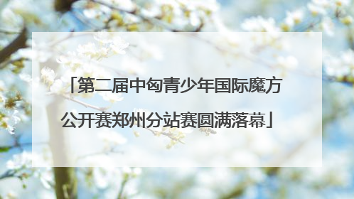 第二届中匈青少年国际魔方公开赛郑州分站赛圆满落幕