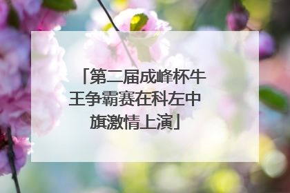 第二届成峰杯牛王争霸赛在科左中旗激情上演