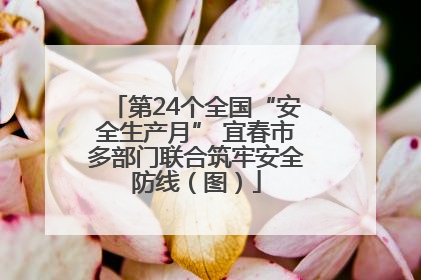 第24个全国“安全生产月” 宜春市多部门联合筑牢安全防线（图）