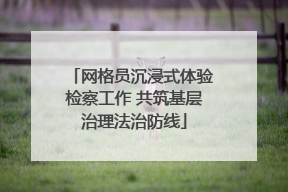 网格员沉浸式体验检察工作 共筑基层治理法治防线