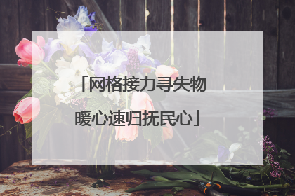 网格接力寻失物 暖心速归抚民心