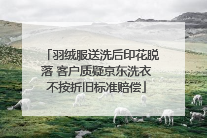 羽绒服送洗后印花脱落 客户质疑京东洗衣不按折旧标准赔偿