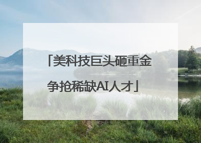 美科技巨头砸重金争抢稀缺AI人才