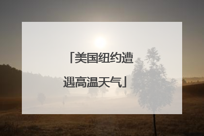 美国纽约遭遇高温天气