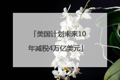 美国计划未来10年减税4万亿美元