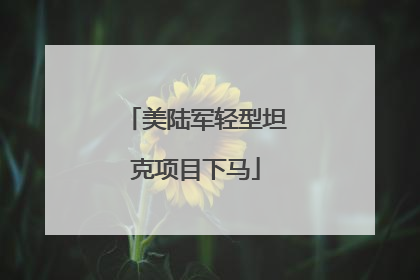 美陆军轻型坦克项目下马