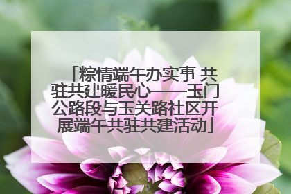 粽情端午办实事 共驻共建暖民心——玉门公路段与玉关路社区开展端午共驻共建活动