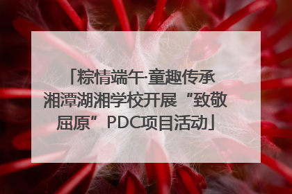 粽情端午·童趣传承 湘潭湖湘学校开展“致敬屈原”PDC项目活动