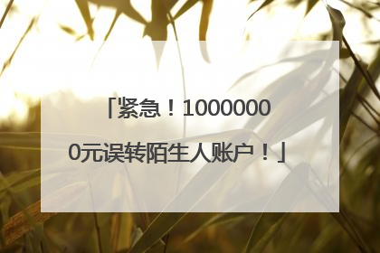 紧急！10000000元误转陌生人账户！