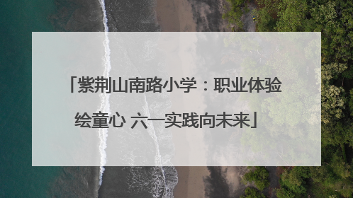 紫荆山南路小学：职业体验绘童心 六一实践向未来