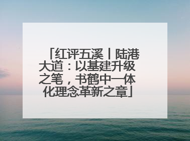 红评五溪丨陆港大道：以基建升级之笔，书鹤中一体化理念革新之章