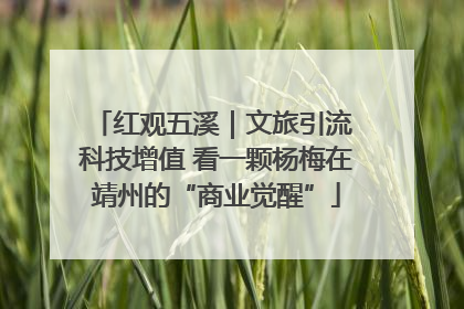 红观五溪｜文旅引流 科技增值 看一颗杨梅在靖州的“商业觉醒”