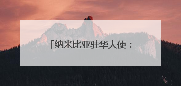 纳米比亚驻华大使：中国经验表明，现代化不光是经济腾飞