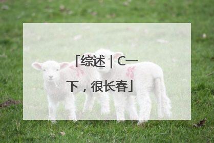 综述｜C一下，很长春