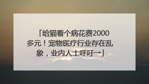 给猫看个病花费2000多元！宠物医疗行业存在乱象，业内人士呼吁→