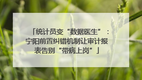 统计员变“数据医生”：宁阳前置纠错机制让审计报表告别“带病上岗”
