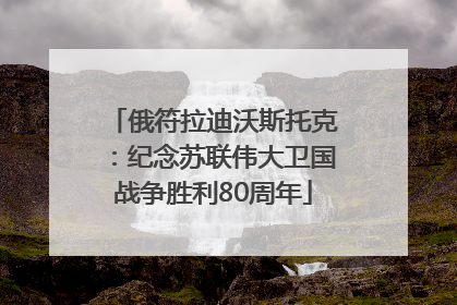 俄符拉迪沃斯托克：纪念苏联伟大卫国战争胜利80周年