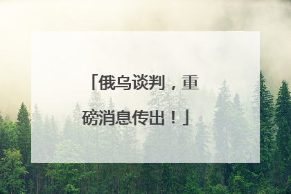 俄乌谈判，重磅消息传出！