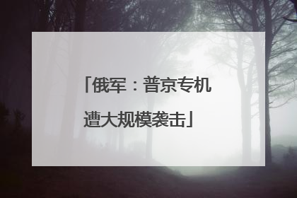 俄军：普京专机遭大规模袭击