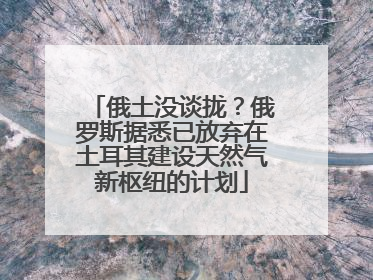 俄土没谈拢？俄罗斯据悉已放弃在土耳其建设天然气新枢纽的计划