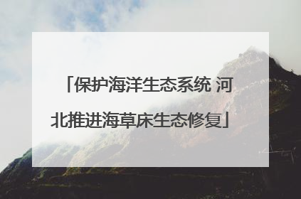 保护海洋生态系统 河北推进海草床生态修复