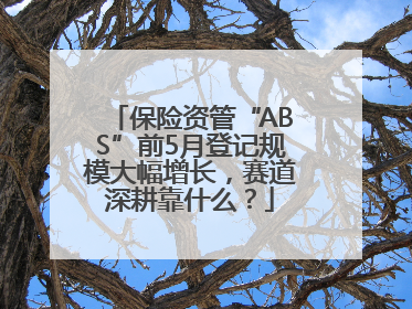 保险资管“ABS”前5月登记规模大幅增长，赛道深耕靠什么？