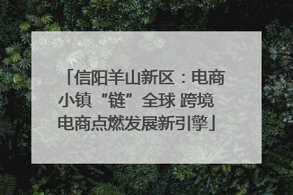 信阳羊山新区：电商小镇“链”全球 跨境电商点燃发展新引擎