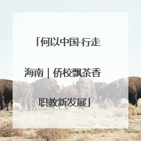 何以中国·行走海南｜侨校飘茶香 职教新发展