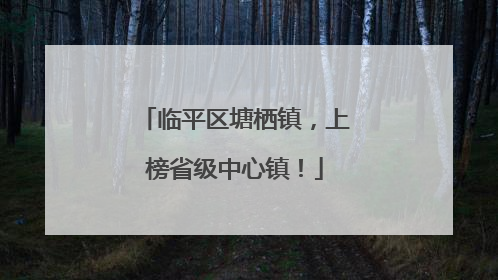 临平区塘栖镇，上榜省级中心镇！