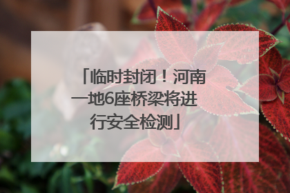 临时封闭！河南一地6座桥梁将进行安全检测