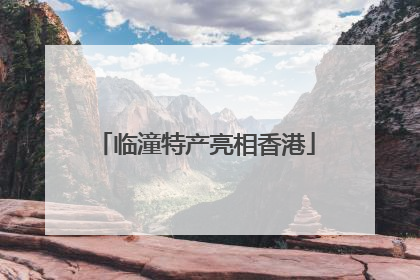 临潼特产亮相香港