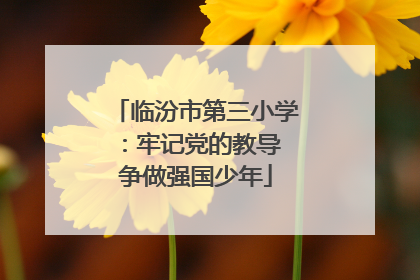 临汾市第三小学：牢记党的教导 争做强国少年