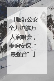 临沂公安全力护航万人演唱会，奏响安保“最强音”