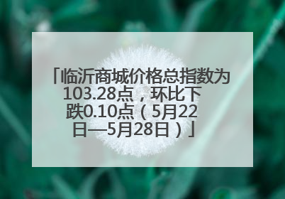 临沂商城价格总指数为103.28点，环比下跌0.10点（5月22日—5月28日）
