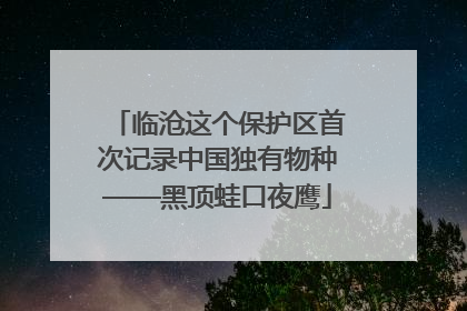 临沧这个保护区首次记录中国独有物种——黑顶蛙口夜鹰