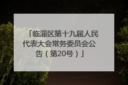 临淄区第十九届人民代表大会常务委员会公告（第20号）