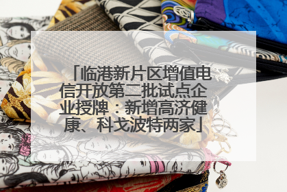 临港新片区增值电信开放第二批试点企业授牌：新增高济健康、科戈波特两家
