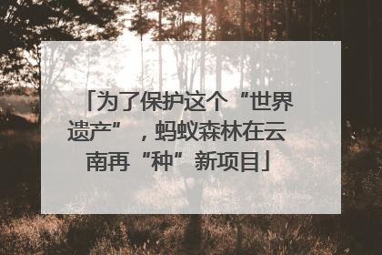 为了保护这个“世界遗产”，蚂蚁森林在云南再“种”新项目