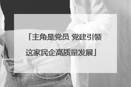 主角是党员 党建引领这家民企高质量发展