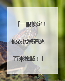 一眼锁定！便衣民警追逐百米擒贼！