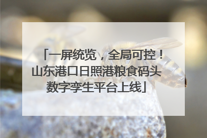 一屏统览，全局可控！山东港口日照港粮食码头数字孪生平台上线