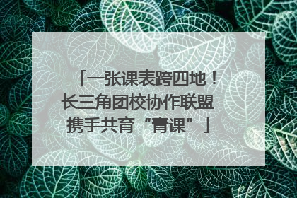 一张课表跨四地！长三角团校协作联盟携手共育“青课”