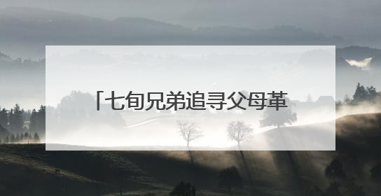 七旬兄弟追寻父母革命足迹 向阳新县档案馆捐赠珍贵史料