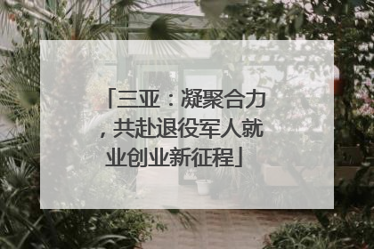 三亚：凝聚合力，共赴退役军人就业创业新征程