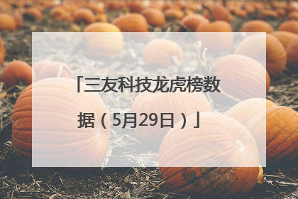 三友科技龙虎榜数据（5月29日）