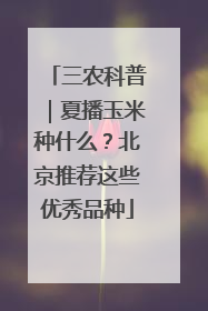 三农科普|夏播玉米种什么?北京推荐这些优秀品种